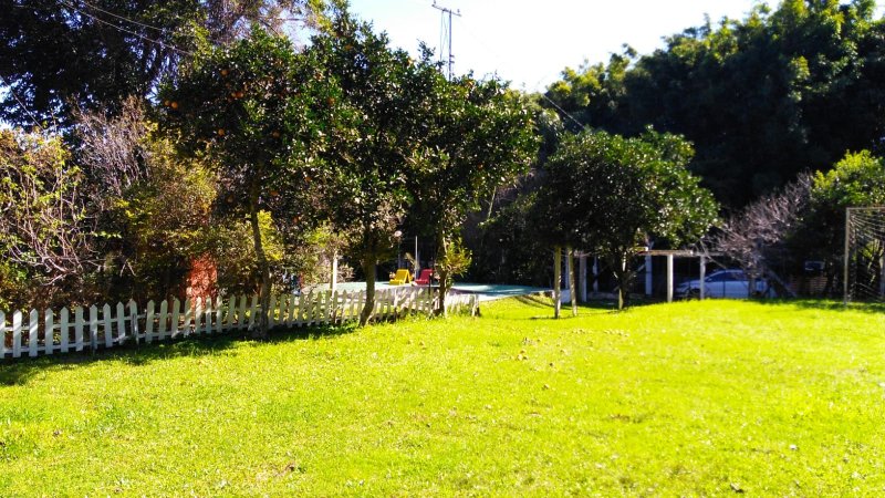 Chácara - Venda - Vigia - Santano do Livramento - RS